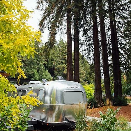 Autocamp Russian River Герневилл Экстерьер фото
